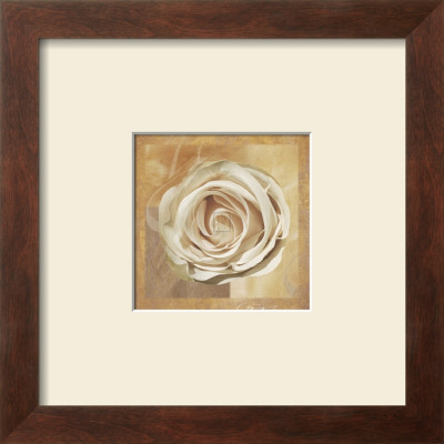 Warm Rose Ii by Malcolm Sanders Pricing Limited Edition Print image