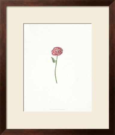 Techno Flower I by Deborah Bookman Pricing Limited Edition Print image