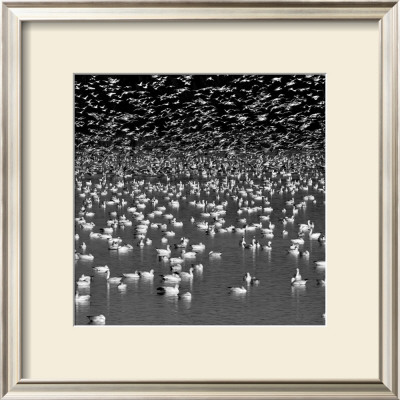 Mirage by Jean-Francois Dupuis Pricing Limited Edition Print image