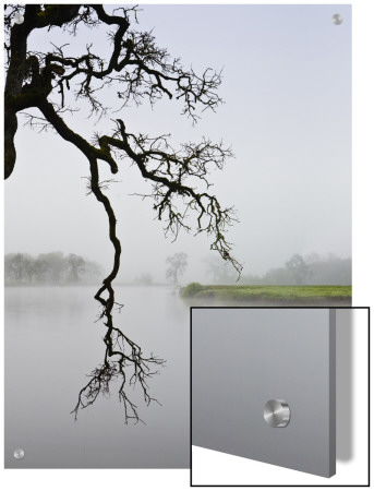 Foggy Landscape by D.M. Pricing Limited Edition Print image