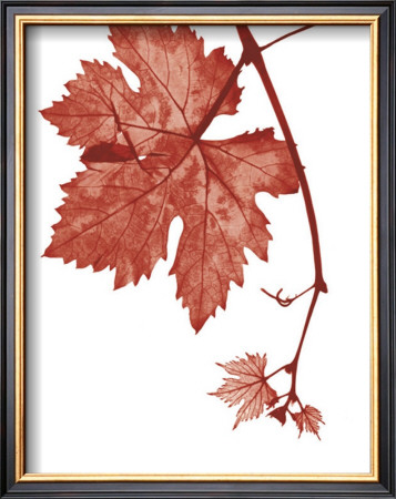 Red Bud by Gil-Lubin Pricing Limited Edition Print image