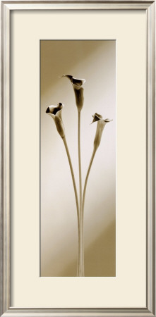 Calla by Edoardo Sardano Pricing Limited Edition Print image