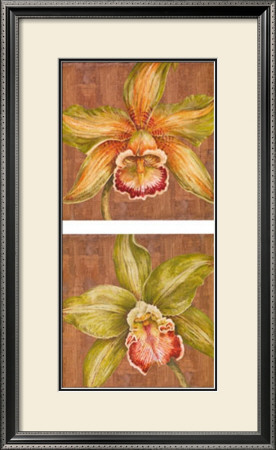 Aloha Beauty Petites by Judy Shelby Pricing Limited Edition Print image