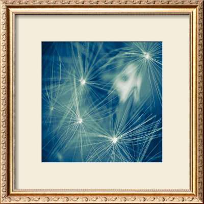 Zenithzen by Jean-Francois Dupuis Pricing Limited Edition Print image