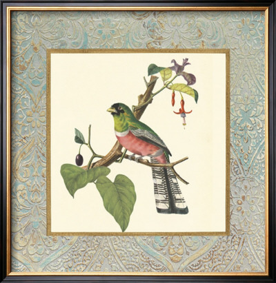 Bel Air Songbirds Ii by Zachary Alexander Pricing Limited Edition Print image