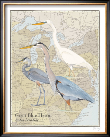 Great Blue Heron by David Sibley Pricing Limited Edition Print image