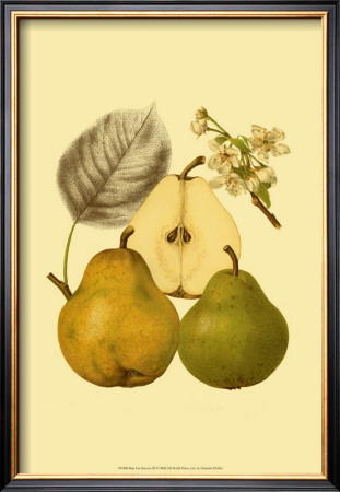 Ripe For Harvest Iii by Heinrich Pfeiifer Pricing Limited Edition Print image