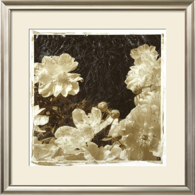 Sepia Peonies Iii by Chariklia Zarris Pricing Limited Edition Print image