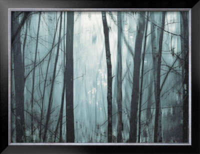 Spring Mist I by Marvin Pelkey Pricing Limited Edition Print image