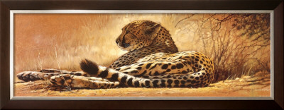 Little Rest by Renato Casaro Pricing Limited Edition Print image