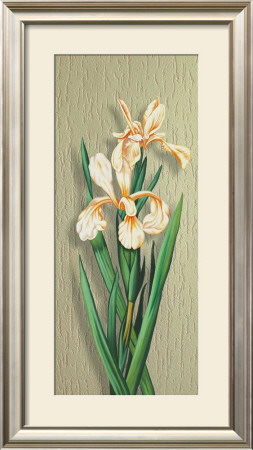 Iris by M. Allegri Pricing Limited Edition Print image