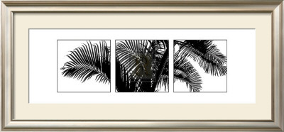 Palm Frond Triptych Iii by Bill Philip Pricing Limited Edition Print image