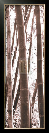 Bamboo Grove Iv by Douglas Yan Pricing Limited Edition Print image