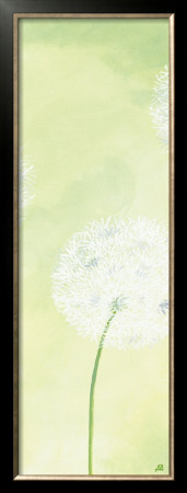 Delicateness Of The Dandelion Ii by Sabine Mannheims Pricing Limited Edition Print image