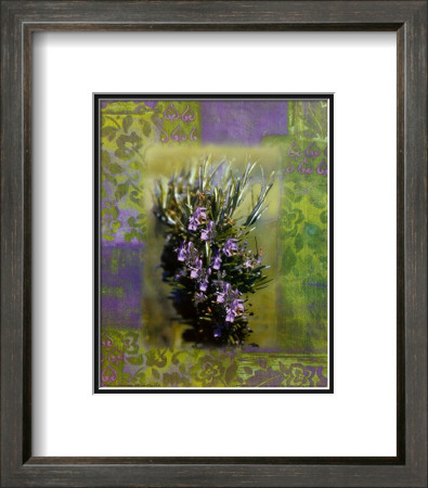 Fines Herbes Ii by Giancarlo Riboli Pricing Limited Edition Print image