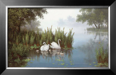 Swans At The Pound Ii by Slava Pricing Limited Edition Print image