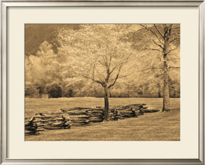 Smokies Fence by Wendy Caro Pricing Limited Edition Print image