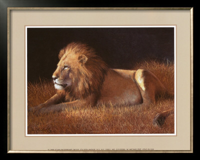 Majestic Lion by Silvia Duran Pricing Limited Edition Print image