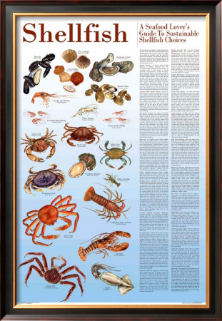 A Seafood Lover's Guide To Sustainable Shellfish Choices by Brenda Gillespie Pricing Limited Edition Print image