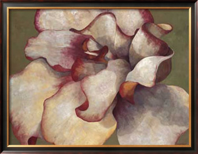 White Begonia by Maria Torrontegui Pricing Limited Edition Print image