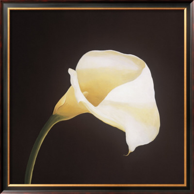 Calla Lily by Hampton Hall Pricing Limited Edition Print image