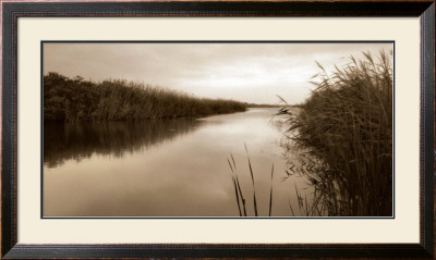 River Reeds by Christine Triebert Pricing Limited Edition Print image