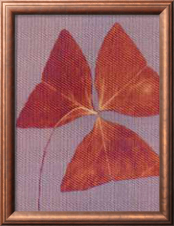 Leaf Study by Angela Easterling Pricing Limited Edition Print image