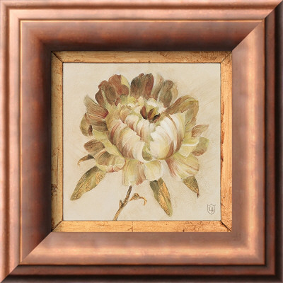 Peony Floret by Lauren Hamilton Pricing Limited Edition Print image