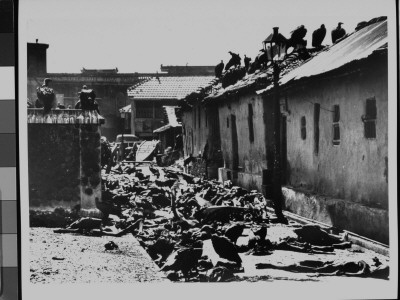 Vultures Feeding On Corpses In Alleyway After Bloody Rioting Between Hindus And Muslims by Margaret Bourke-White Pricing Limited Edition Print image