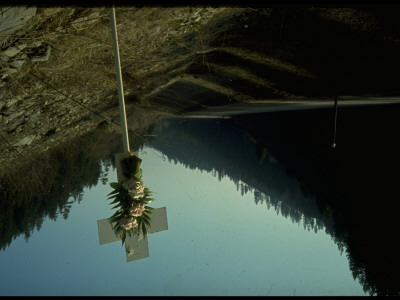 Flowers Nailed To Roadside Cross Probably Marking Site Of Fatal Car Accident by Ralph Crane Pricing Limited Edition Print image