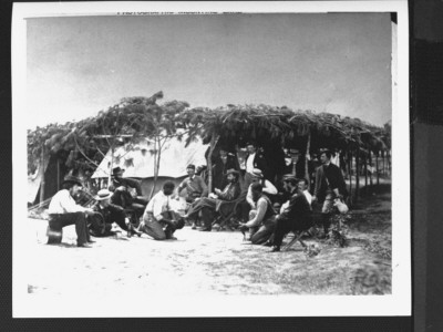 Ready To Engage Roosters In Cockfight At Potomac Army Camp, Civil War by David Knox Pricing Limited Edition Print image