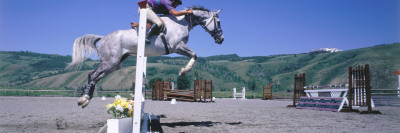 Equestrian On Horse Jumps Fence by Jeff Foott Pricing Limited Edition Print image