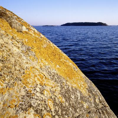 Dry Cliff, Sweden by Rolf Ternblad Pricing Limited Edition Print image