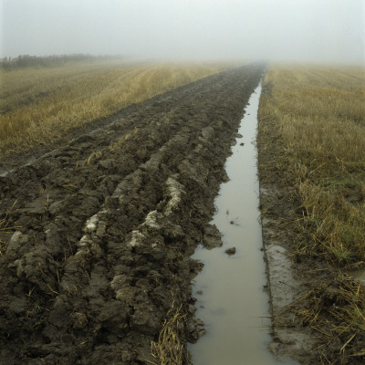 Panoramic View Of A Field by Mikael Andersson Pricing Limited Edition Print image