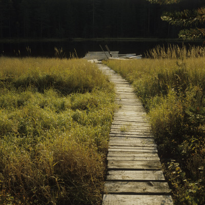 Wooden Path Passing Through A Landscape, Sweden by Mikael Andersson Pricing Limited Edition Print image