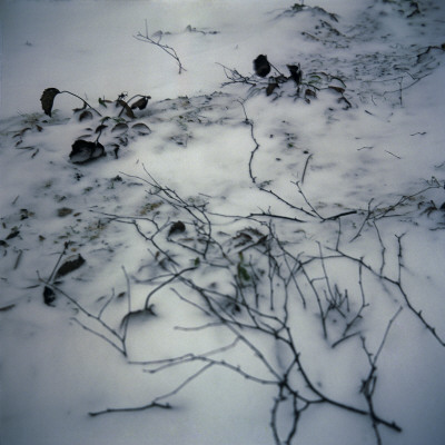 Snowy Ground, Sweden by Mikael Andersson Pricing Limited Edition Print image