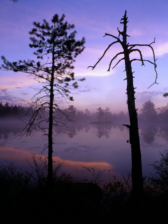 Forest Lake At The Crack Of Dawn, Vastmanland, Sweden by Berndt-Joel Gunnarsson Pricing Limited Edition Print image