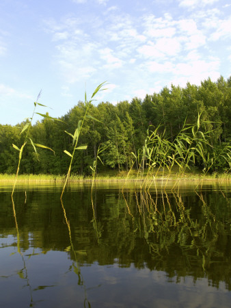 Lake Sottern, Sweden by Berndt-Joel Gunnarsson Pricing Limited Edition Print image