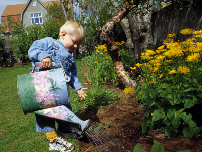 A Little Boy Watering Flowers With A Watering Can by Arnaldur Halldorsson Pricing Limited Edition Print image