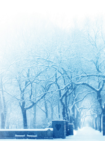Park Alley In The Snow by Ilina S Pricing Limited Edition Print image