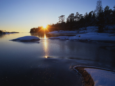 Sunrise Over Trees by Jorgen Larsson Pricing Limited Edition Print image