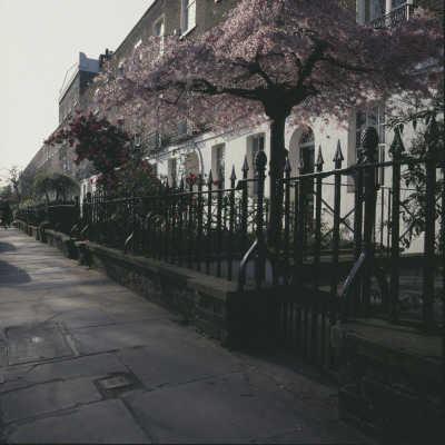 Regency Houses In The Spring, Kensington, London - Edwardes Square (1811-20) by Richard Turpin Pricing Limited Edition Print image