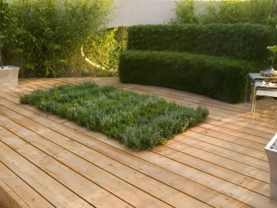 Hampton Court Flower Show 2006: Designer - Philip Osman - Decking With Thyme Rug And Camomile Seat by Clive Nichols Pricing Limited Edition Print image