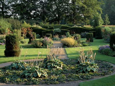 View Down The Garden With Unusual Hedging And Hostas Designers: Piet And Anja Oudolf by Clive Nichols Pricing Limited Edition Print image