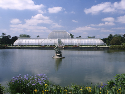 Royal Botanic Gardens Kew, London - The Palm House (1844-8), Architects: Decimus Burton by David Churchill Pricing Limited Edition Print image