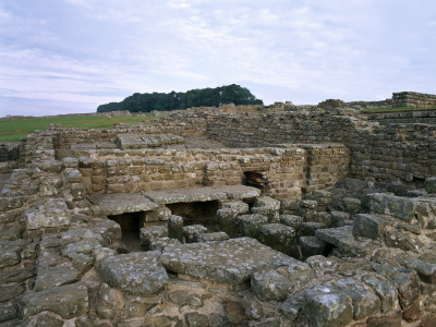 Housesteads Roman Fort, Vercovicium, Hadrian's Wall, Northumberland, England, Commander's Quarters by Colin Dixon Pricing Limited Edition Print image