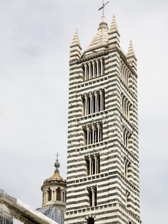Campanile, Duomo, Siena, Tuscany, Italy by David Clapp Pricing Limited Edition Print image