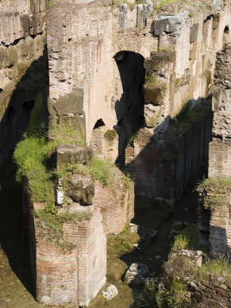 The Chambers And Cells Under The Arena At The Colosseum, Rome, Italy by David Clapp Pricing Limited Edition Print image