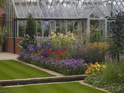 Beyond The Garden Wall - Rosy Hardy's Cottage Garden Plants, Hampton Court Flower Show '08, England by G Jackson Pricing Limited Edition Print image