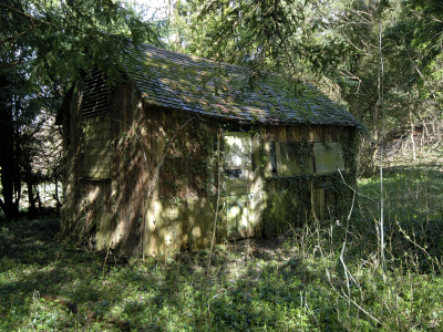 An Old Cottage In The Woods, England by Mark Bury Pricing Limited Edition Print image